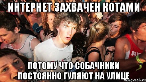 интернет захвачен котами потому что собачники постоянно гуляют на улице