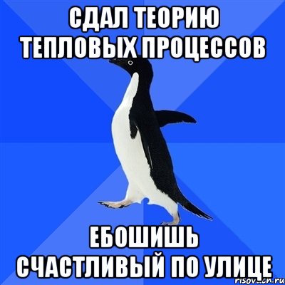 сдал теорию тепловых процессов ебошишь счастливый по улице, Мем  Социально-неуклюжий пингвин