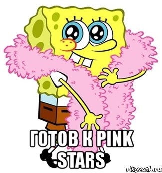  готов к pink stars