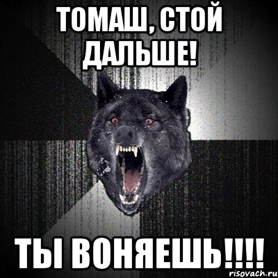 томаш, стой дальше! ты воняешь!!!, Мем Сумасшедший волк