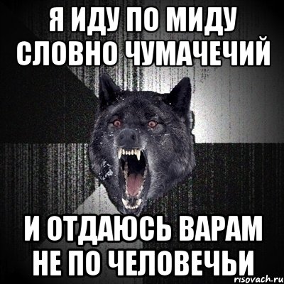 я иду по миду словно чумачечий и отдаюсь варам не по человечьи, Мем Сумасшедший волк