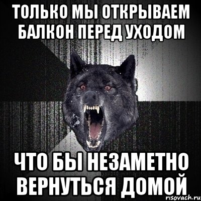 только мы открываем балкон перед уходом что бы незаметно вернуться домой, Мем Сумасшедший волк