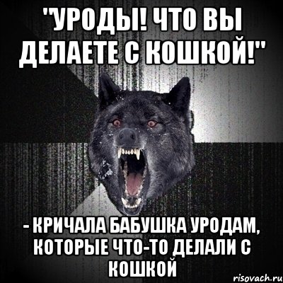 "уроды! что вы делаете с кошкой!" - кричала бабушка уродам, которые что-то делали с кошкой, Мем Сумасшедший волк