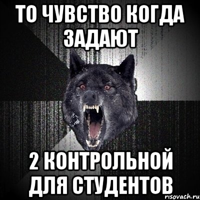 то чувство когда задают 2 контрольной для студентов, Мем Сумасшедший волк