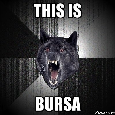 this is bursa, Мем Сумасшедший волк