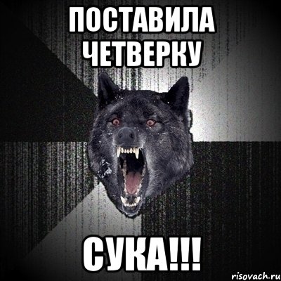 поставила четверку сука!!!, Мем Сумасшедший волк