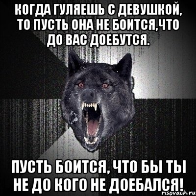 когда гуляешь с девушкой, то пусть она не боится,что до вас доебутся. пусть боится, что бы ты не до кого не доебался!, Мем Сумасшедший волк