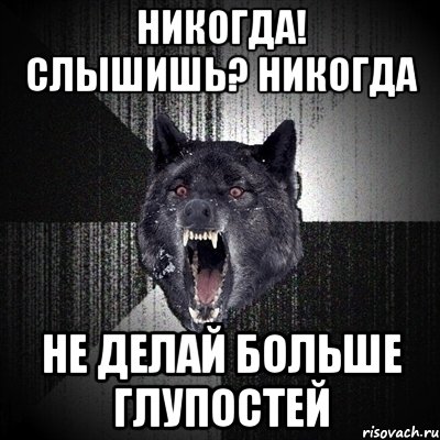 никогда! слышишь? никогда не делай больше глупостей, Мем Сумасшедший волк