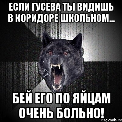 если гусева ты видишь в коридоре школьном... бей его по яйцам очень больно!, Мем Сумасшедший волк