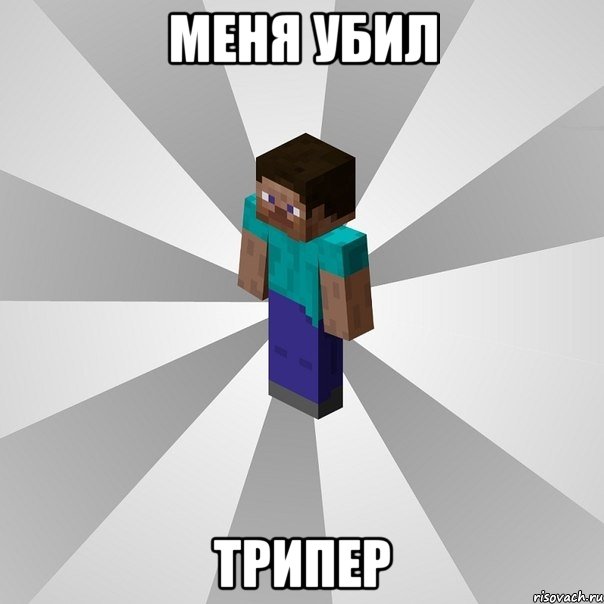 меня убил трипер, Мем Типичный игрок Minecraft