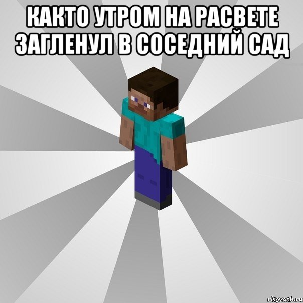 както утром на расвете загленул в соседний сад , Мем Типичный игрок Minecraft