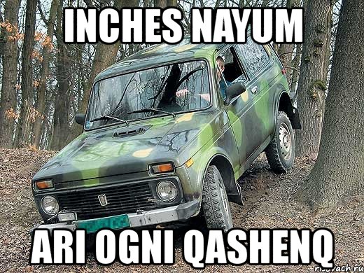 inches nayum ari ogni qashenq, Мем типичный водитель ВАЗ-2121