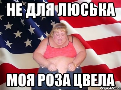 не для люська моя роза цвела