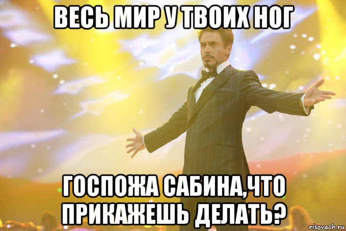 весь мир у твоих ног госпожа сабина,что прикажешь делать?, Мем Тони Старк (Роберт Дауни младший)