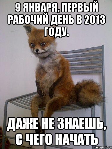 9 января, первый рабочий день в 2013 году. даже не знаешь, с чего начать, Мем Упоротая лиса