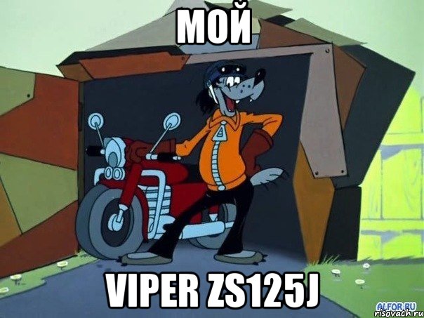 мой viper zs125j