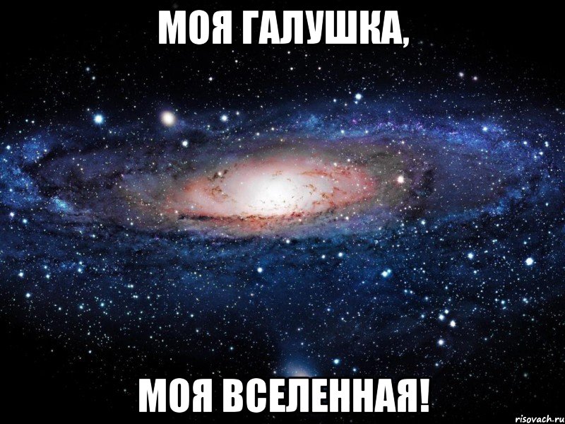 моя галушка, моя вселенная!, Мем Вселенная