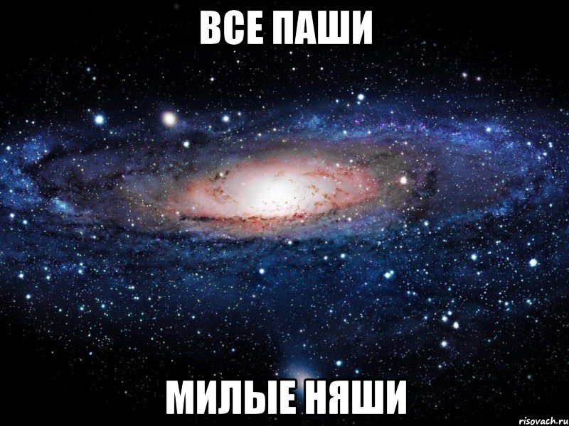 все паши милые няши, Мем Вселенная