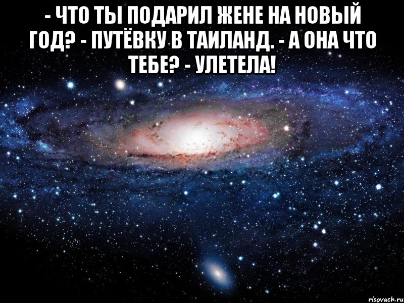 - что ты подарил жене на новый год? - путёвку в таиланд. - а она что тебе? - улетела! , Мем Вселенная