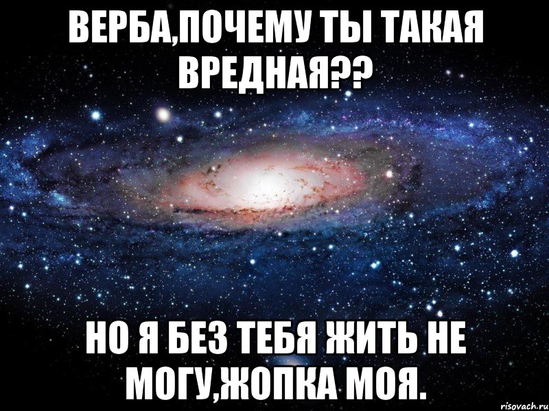 верба,почему ты такая вредная?? но я без тебя жить не могу,жопка моя., Мем Вселенная