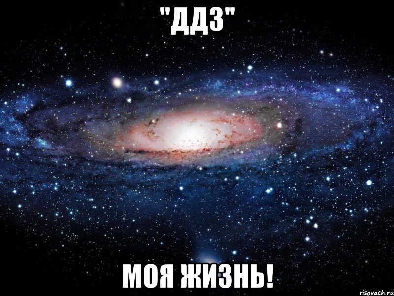 "ддз" моя жизнь!, Мем Вселенная