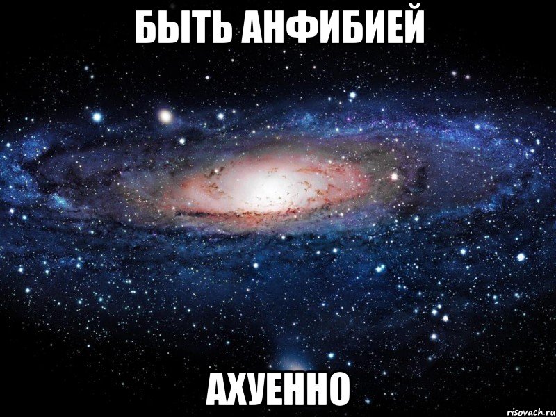 быть анфибией ахуенно, Мем Вселенная