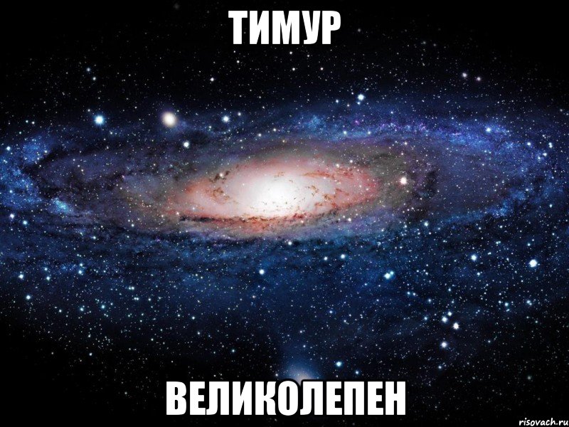 тимур великолепен, Мем Вселенная