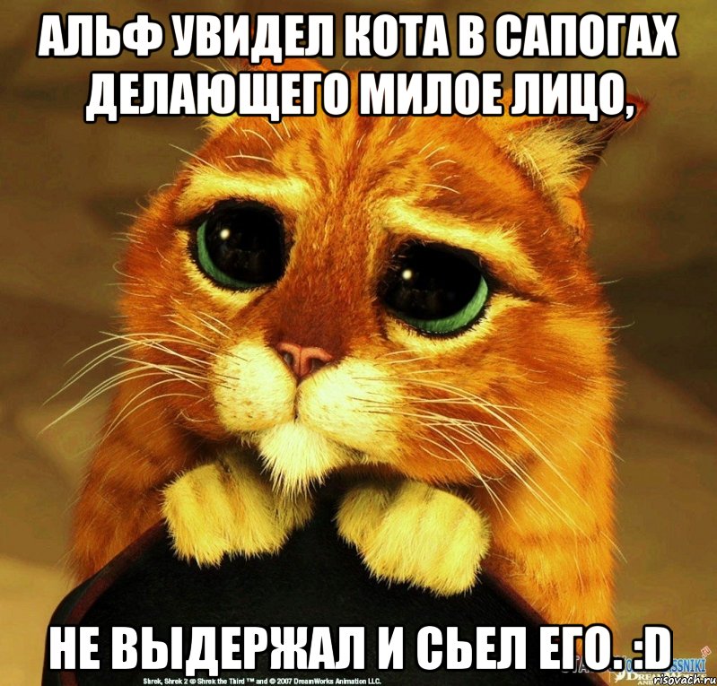 альф увидел кота в сапогах делающего милое лицо, не выдержал и сьел его. :d, Мем Котик из Шрека