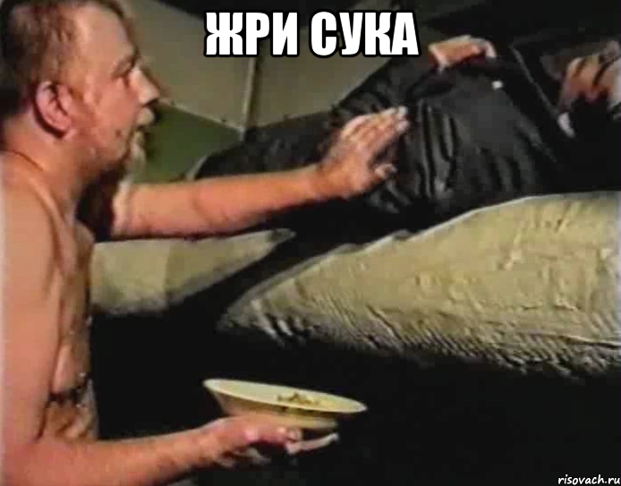 жри сука 