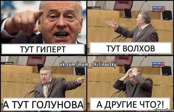 Тут Гиперт Тут Волхов А тут Голунова А другие что?!, Комикс Жирик