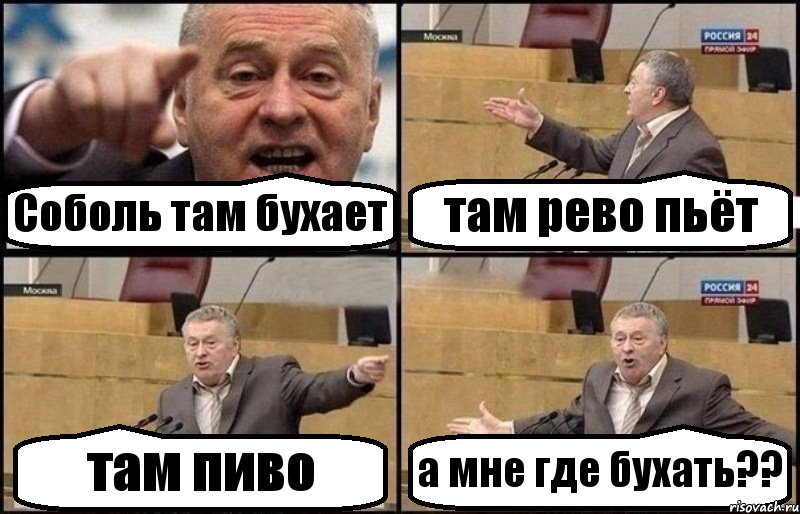 Соболь там бухает там рево пьёт там пиво а мне где бухать??, Комикс Жириновский