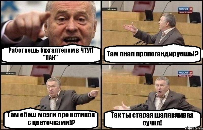 Работаешь бухгалтером в ЧТУП "ПАК" Там анал пропогандируешь!? Там ебеш мозги про котиков с цветочками!? Так ты старая шалавливая сучка!, Комикс Жириновский