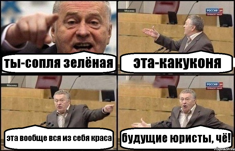 ты-сопля зелёная эта-какуконя эта вообще вся из себя краса будущие юристы, чё!, Комикс Жириновский