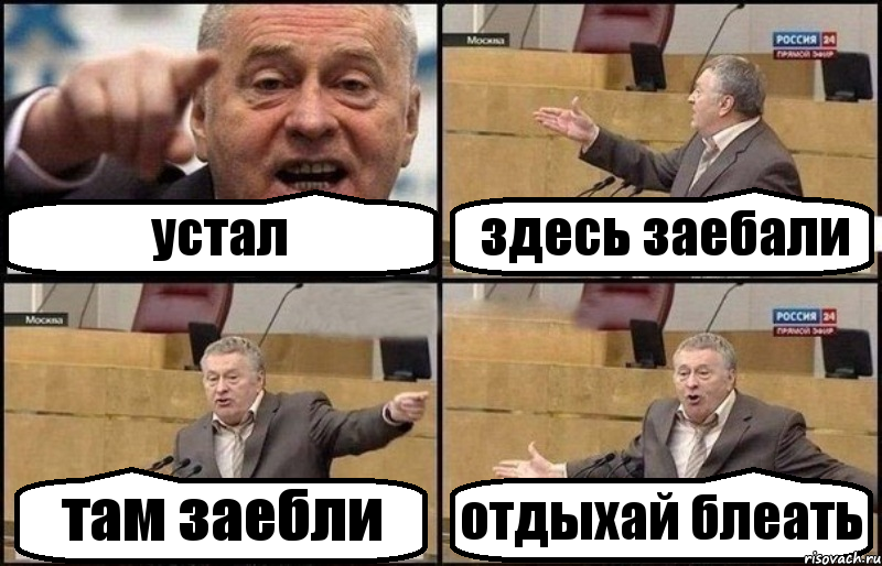 устал здесь заебали там заебли отдыхай блеать, Комикс Жириновский