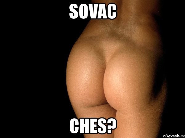 sovac ches?, Мем жопа