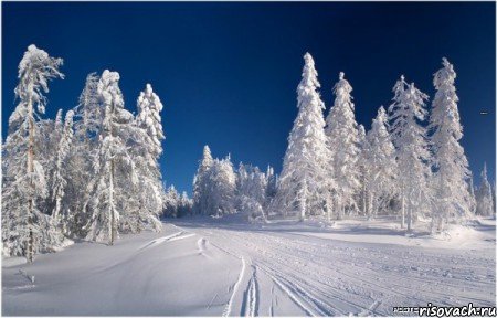 снеговик , Комикс зима