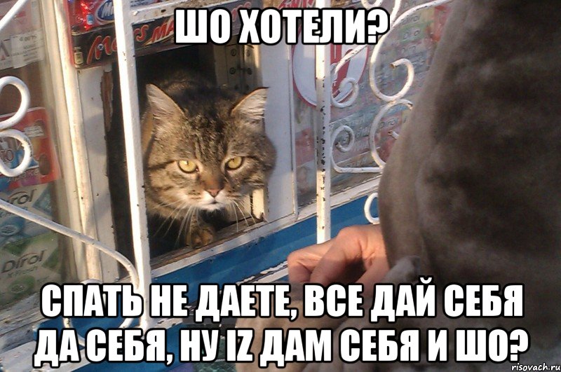 шо хотели? спать не даете, все дай себя да себя, ну iz дам себя и шо?, Мем 18 есть пидрила ебаная