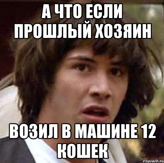 а что если прошлый хозяин возил в машине 12 кошек, Мем А что если (Киану Ривз)