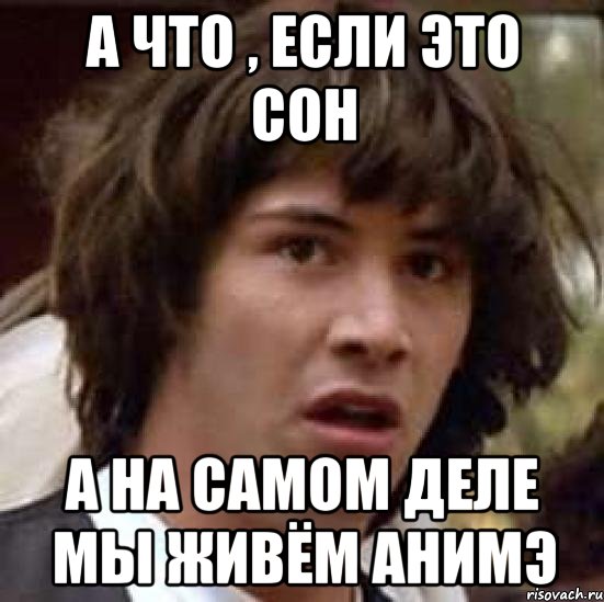 а что , если это сон а на самом деле мы живём анимэ, Мем А что если (Киану Ривз)