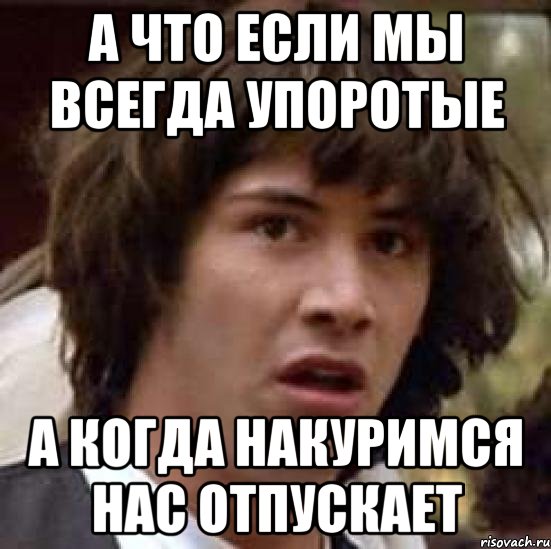 а что если мы всегда упоротые а когда накуримся нас отпускает, Мем А что если (Киану Ривз)