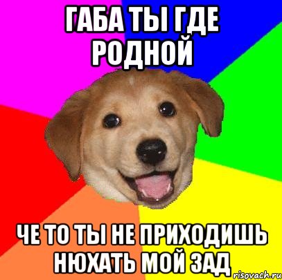 габа ты где родной че то ты не приходишь нюхать мой зад, Мем Advice Dog