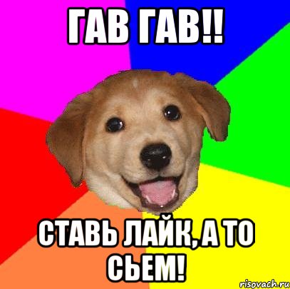 гав гав!! ставь лайк, а то сьем!, Мем Advice Dog