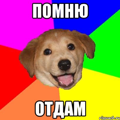 помню отдам, Мем Advice Dog