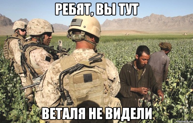 ребят, вы тут веталя не видели