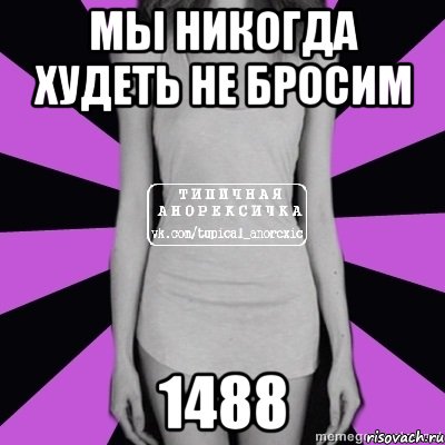 мы никогда худеть не бросим 1488, Мем Типичная анорексичка