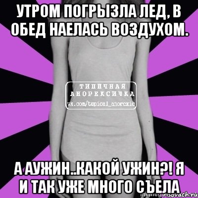 утром погрызла лед, в обед наелась воздухом. а аужин..какой ужин?! я и так уже много съела, Мем Типичная анорексичка