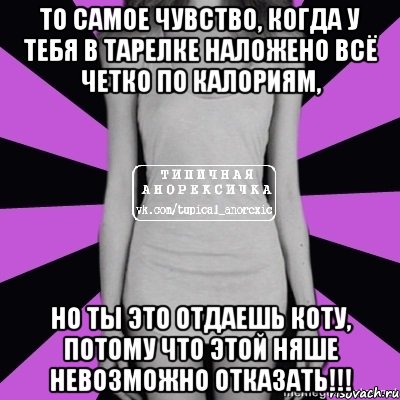 то самое чувство, когда у тебя в тарелке наложено всё четко по калориям, но ты это отдаешь коту, потому что этой няше невозможно отказать!!!, Мем Типичная анорексичка