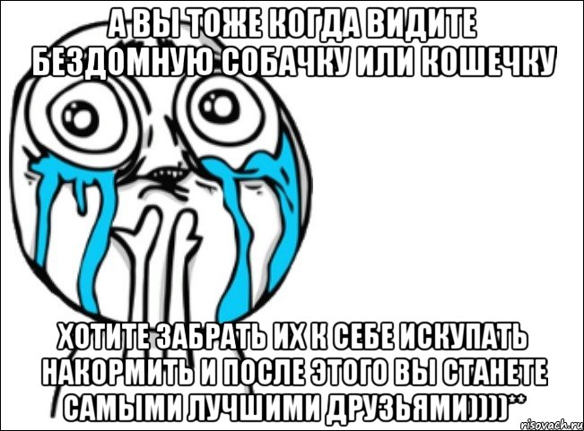 а вы тоже когда видите бездомную собачку или кошечку хотите забрать их к себе искупать накормить и после этого вы станете самыми лучшими друзьями))))**, Мем Это самый