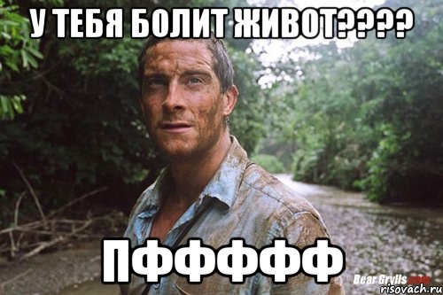 у тебя болит живот??? пффффф, Мем Беар