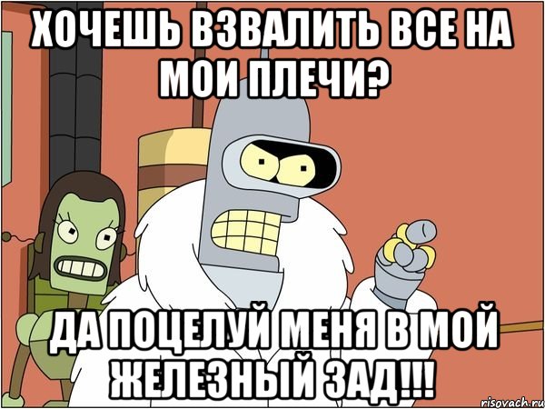 хочешь взвалить все на мои плечи? да поцелуй меня в мой железный зад!!!, Мем Бендер